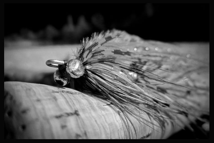 Sink Tips - Winter Steelhead fly