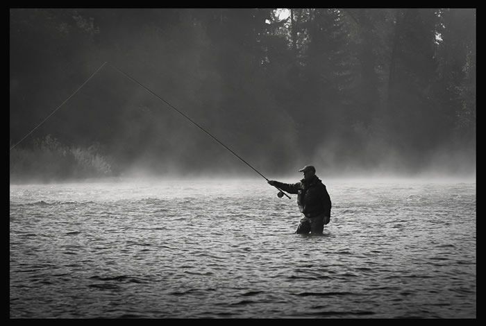 Winter Steelhead Sink Tips