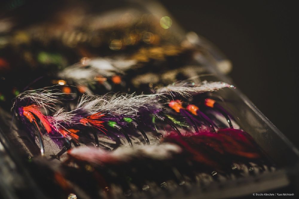 About Steelheadbum